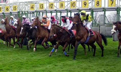 horse racing tips the daily mail.